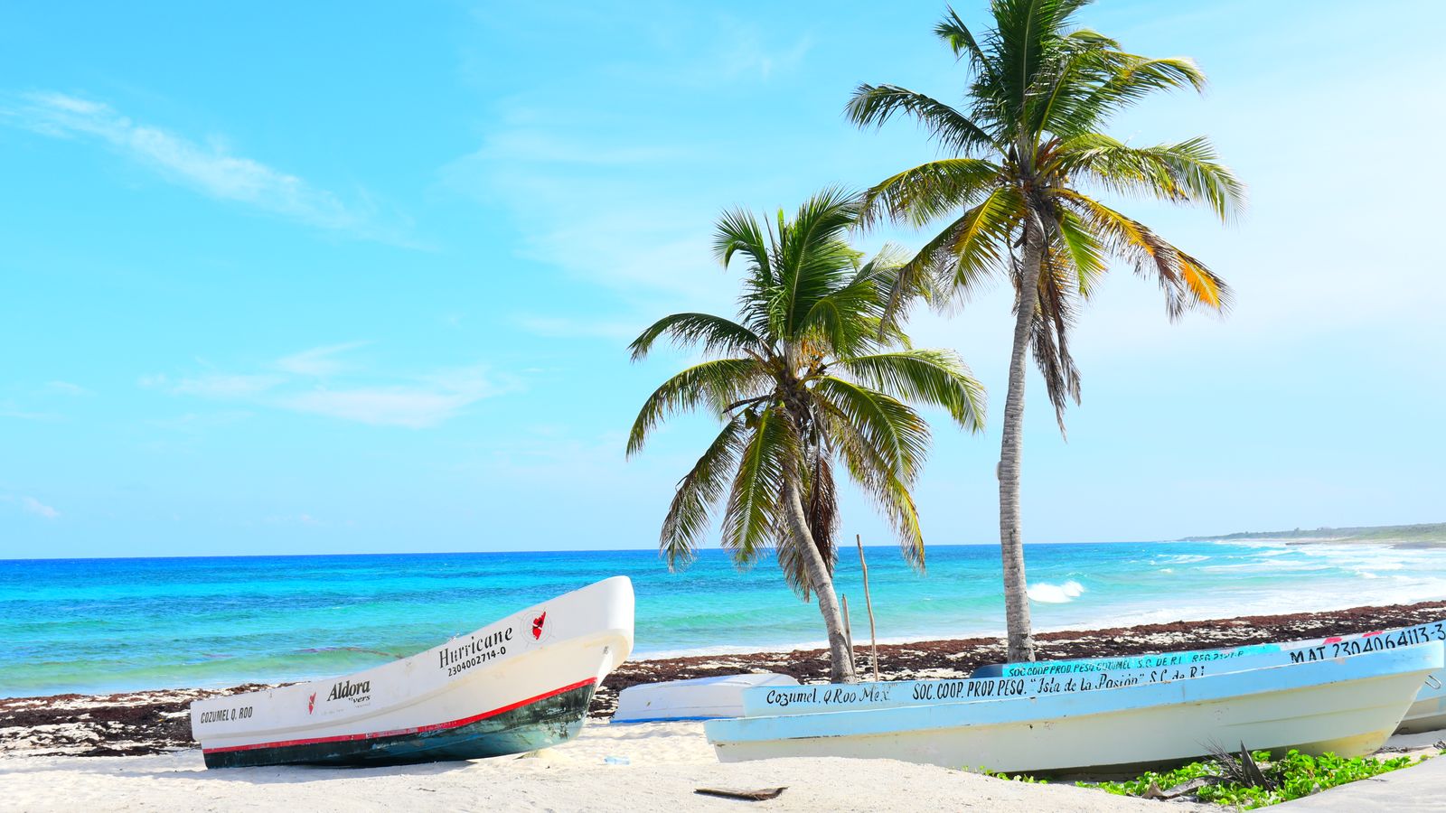 Cozumel coastline